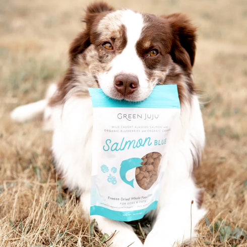Green Juju Freeze Dried Raw Treat & Topper - Salmon Blue - 3oz Bag