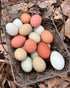 Scratch & Peck Organic Layer 18% Pellets For Chickens & Ducks - 35lb Bag
