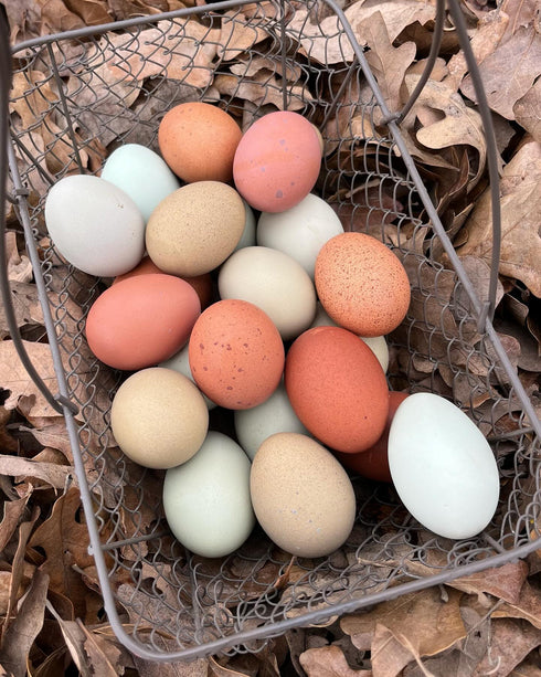 Scratch & Peck Organic Layer 18% Mash for Chickens & Ducks - 40lb Bag