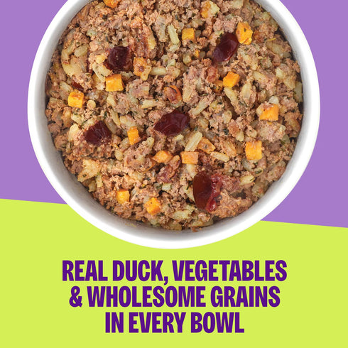 Wellness Protein Bowls Wet Dog Food - Duck, Sweet Potato, & Cranberry - 6.2oz Pouch
