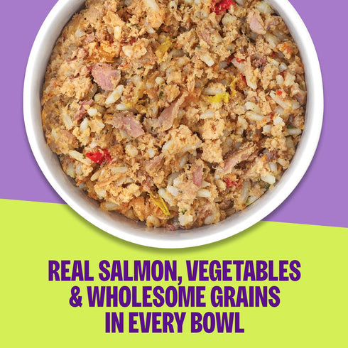 Wellness Protein Bowls Wet Dog Food - Salmon, Whitefish, & Rice - 6.2oz Pouch