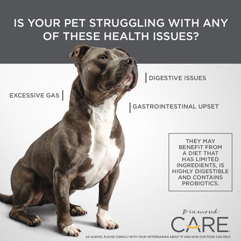 Diamond Care Dry Dog Food - Sensitive Stomach - 25lb Bag