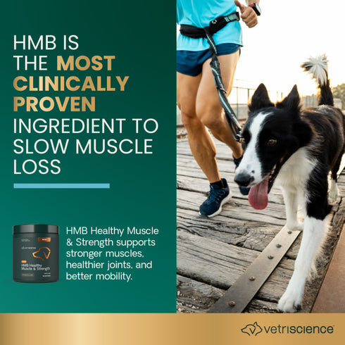 Vetriscience HMB Healthy Muscle & Strength Dog Supplement - Powder - 8.47oz Tub