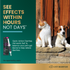 VertiScience Quick Action Dog Diarrhea Aid - 35cc Paste