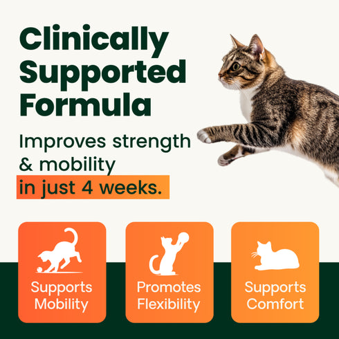 Vetriscience Ultimate Strength Healthy Hip & Joint Cat Supplement - Powder - 3.17oz Tub