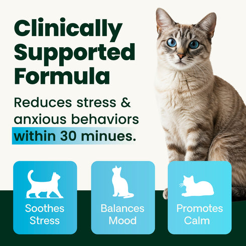 Vetriscience Calm & Confident Powder for Cats - 2.75oz Jar