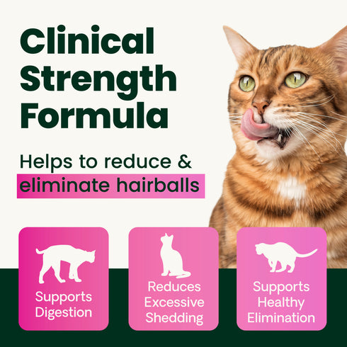 Vetriscience Veterinary Strength Hairball Control Powder for Cats - 2.96oz Jar