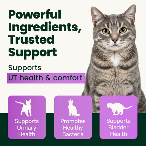 Vetriscience UT Health Powder for Cats - 2.75oz Jar