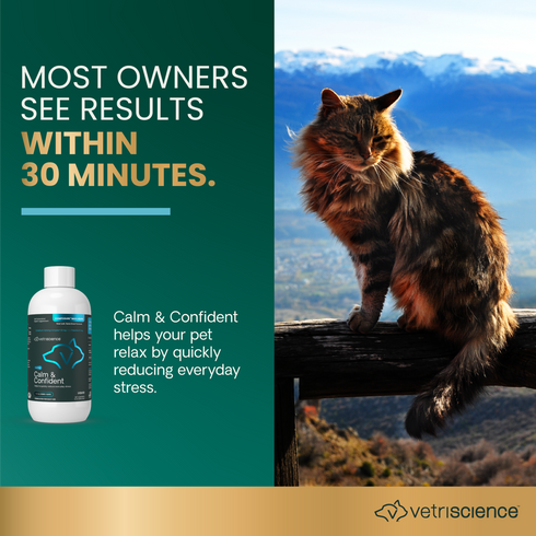 Vetriscience Calm & Confident Liquid Supplement For Dogs & Cats - 8oz Btotle