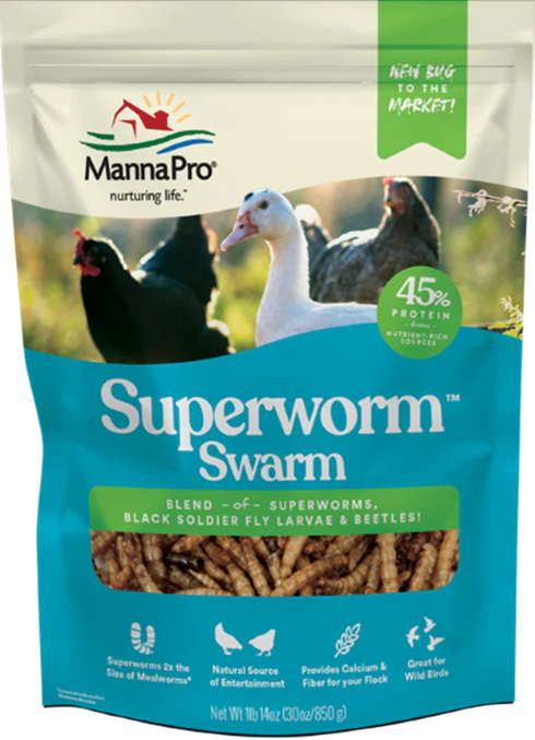 MannaPro Superworm Swarm Chicken Treats - 30oz Bag