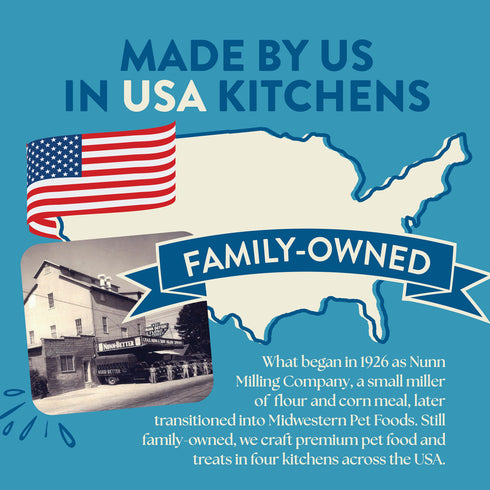 Earthborn Holistic Ancient Grains Dry Dog Food - Unrefined Smoked Salmon - 4lb Bag