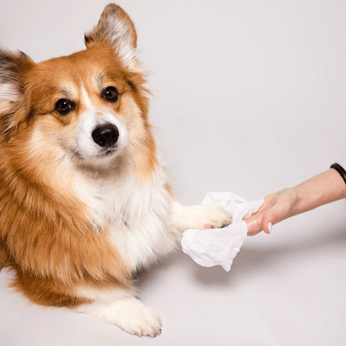 Natural Dog Company Dog Grooming Wipes - 50 Count