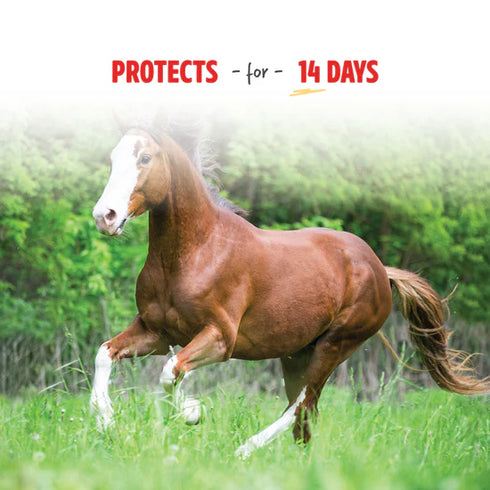 Manna Pro Pro-Force Fly Spray - 32oz Bottle
