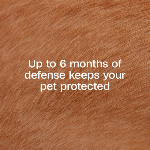 Adams Plus Flea & Tick Collar for Dogs & Puppies - Pack of 2 - 6 Month Supply