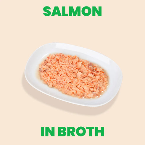 Almo Nature Natural HQS Wet Cat Food - Salmon in Broth - 2.47oz Can