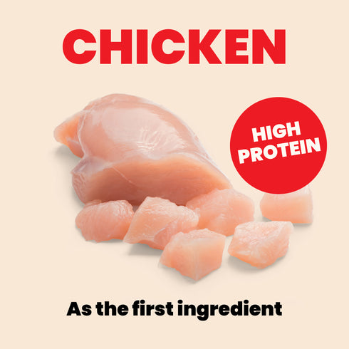 Almo Nature HQS Kitten Wet Cat Food - Chicken in Broth - 2.47 Can