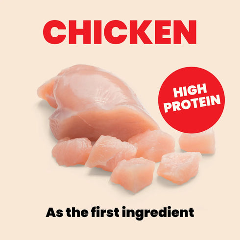 Almo Nature Kitten HQS Wet Cat Food - Chicken in Broth - 2.47 Can