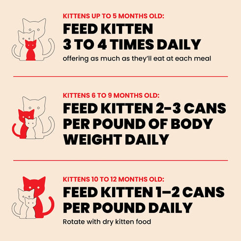 Almo Nature Kitten HQS Wet Cat Food - Chicken in Broth - 2.47 Can