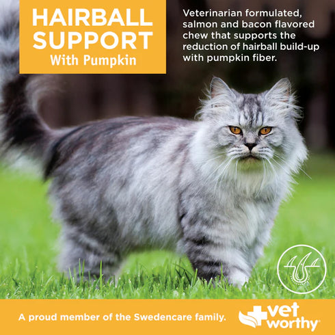 Vet Worthy Hairball Support With Pumpkin Chews For Cats - 60 Count