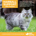 Vet Worthy Hairball Support With Pumpkin Chews For Cats - 60 Count
