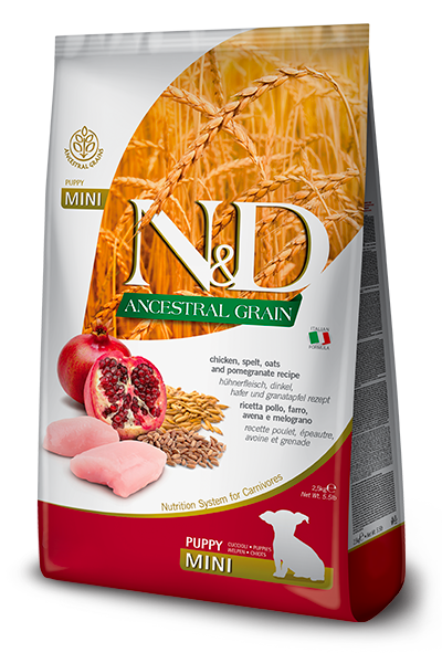 Farmina N&D Ancestral Grain Puppy Dry Dog Food - Chicken & Pomegranate, Mini Kibble - 5.5lb Bag