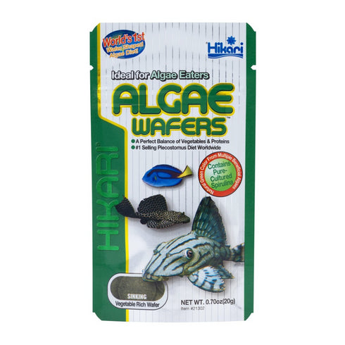 Hikari Algae Wafers Rapidly Sinking Wafer for Algae Eater Fish 20gm - Poudre Pet and Feed Supply