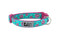 RC Pets Standard Dog Collar - L 1" - All The Buzz