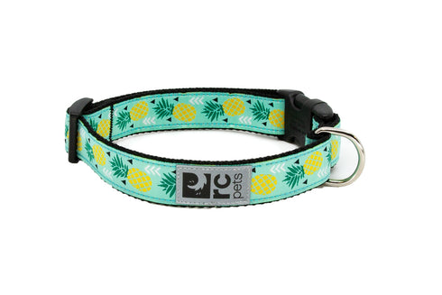 RC Pets Standard Dog Collar - M 1" - Pineapple Parade