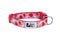 RC Pets Standard Dog Collar - M 1" - Strawberries