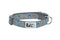 RC Pets Standard Dog Collar - L 1" - Doodle Dogs