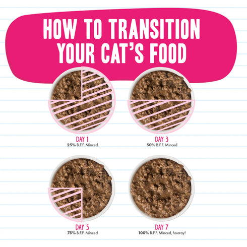 BFF Originals Minced Wet Cat Food - Tuna & Pumpkin Valentine - 10oz Can