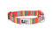 RC Pets Standard Dog Collar - XS 5/8" - Multi Stripes