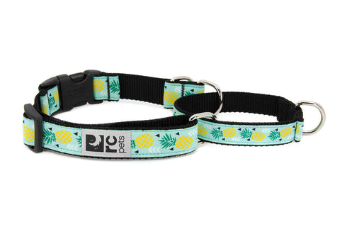 RC Pets East Clip Web Training Dog Collar - Small 3/4" - Pineapple Parade