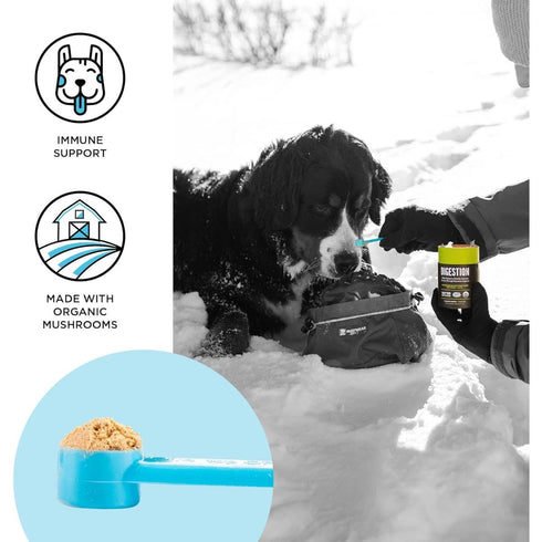 Bixbi Immunity Supplement for Dogs & Cats 60gm - Poudre Pet & Feed Supply 3