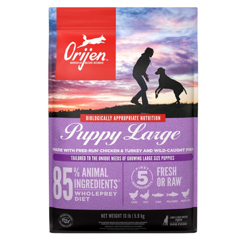 Orijen Chicken & Turkey Large Breed Puppy Dry Dog Food 13lb - Poudre Pet and Feed Supply