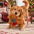 Petlou Christmas Golden Highland Cow Dog Toy - 16"