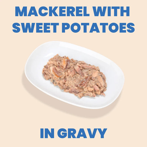 Almo Nature Complete HQS Wet Cat Food - Mackerel Recipe w/ Sweet Potatoes in Gravy - 2.47oz Can