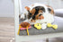 Petmate Quirky Kitty Pasta Cat Toy - 3 Pack