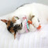Petmate Quirky Kitty Cool Shark Cat Toy - 2 Pack