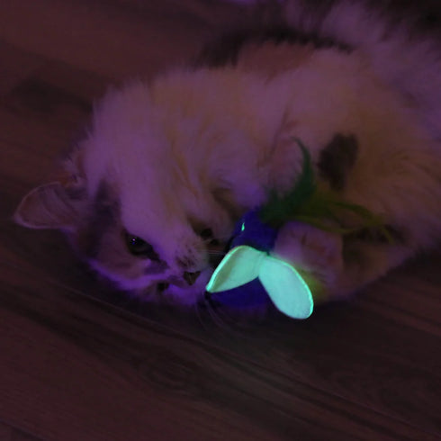 Petmate Quirky Kitty Glow Bug Cat Toy - 3 Pack