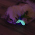 Petmate Quirky Kitty Glow Bug Cat Toy - 3 Pack