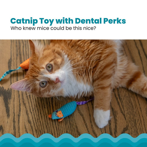 Pet Stages Chew Mice Dental Health Cat Toys 2 Piece - Poudre Pet & Feed Supply 2