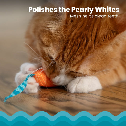 Pet Stages Chew Mice Dental Health Cat Toys 2 Piece - Poudre Pet & Feed Supply 3