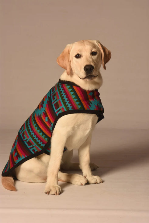 Chilly Dog Blanket Dog Coat - Large - Southwest Desert Rose