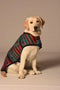 Chilly Dog Blanket Dog Coat - Large - Southwest Desert Rose