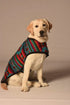 Chilly Dog Blanket Dog Coat - Large - Southwest Desert Rose