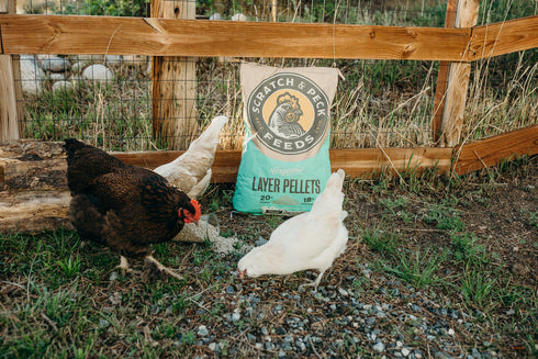 Scratch & Peck Organic Layer 18% Pellets For Chickens & Ducks - 35lb Bag