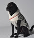 Chilly Dog Knitted Dog Sweater - XX-Large - Jackson