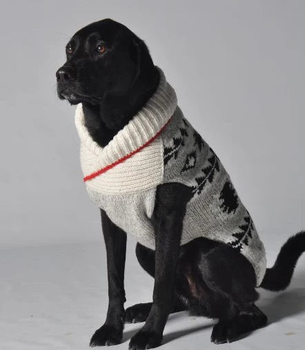 Chilly Dog Knitted Dog Sweater - Medium - Jackson