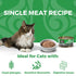 Koha Limited Ingredient Pate Wet Cat Food - Turkey - 5.5oz Can
